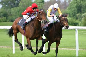 A Record Evening Racing In Sight For York