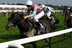 Noseda Targets Big Race Triumphs At York