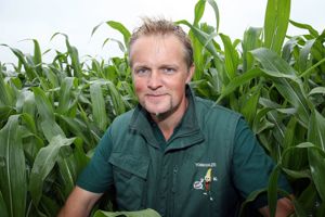 Revealed – How York Maze is created!