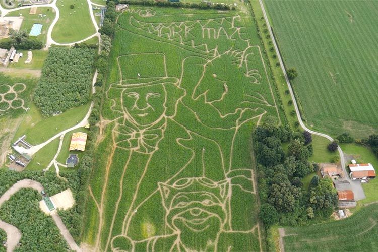York Maze 2016