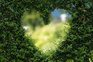 North Yorkshire’s Top 10 Romantic Places to Visit