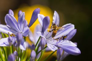 7 Reasons why we love Spring time in North Yorkshire