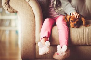 10 unbelievably cute North Yorkshire dogs