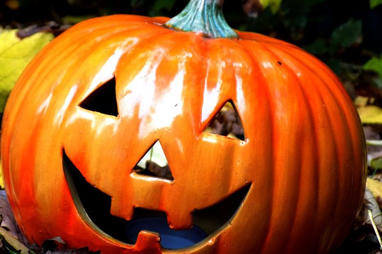 Spooky Family Days Out in North Yorkshire