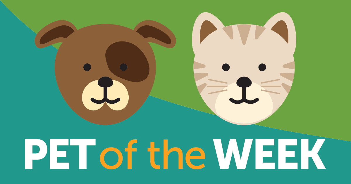 Minster FM's Pet Of The Week with the Blue Cross in Thirsk
