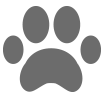 Lost Pets