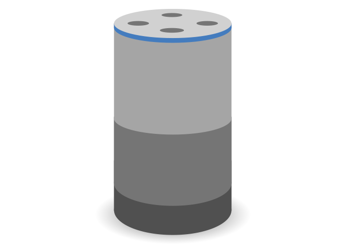 Alexa Device