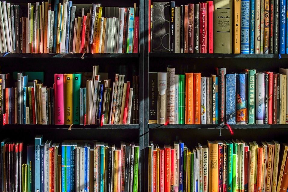 books-from pixabay