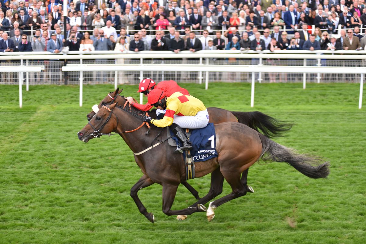 york racecourse