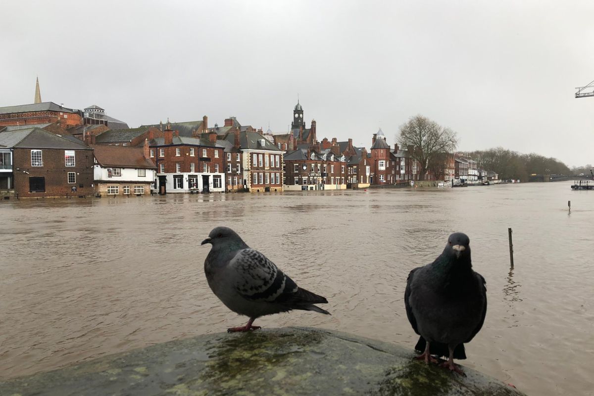 York Floods dennis 2020 