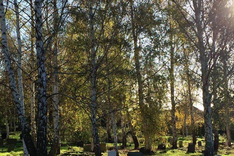 York Cemetery 