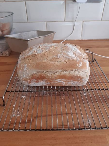 Bread Week Bread Week