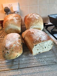 Bread Week Bread Week