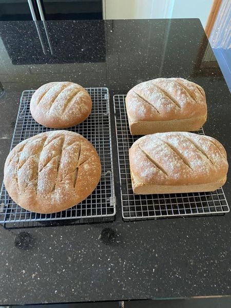 Bread Week Bread Week