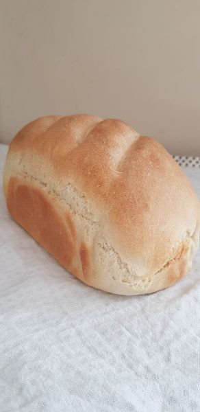Bread Week Bread Week
