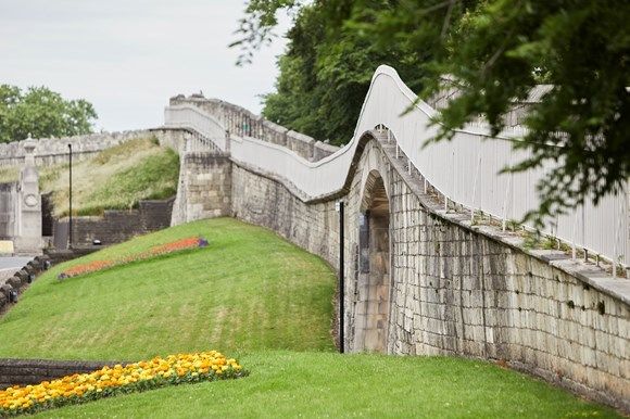 wall