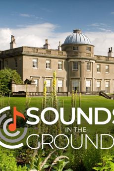 Half Price Standard Picnic Patch Ticket for 4 to one Scampston Hall SOUNDS IN THE GROUNDS Concert between the 28th - 31st August