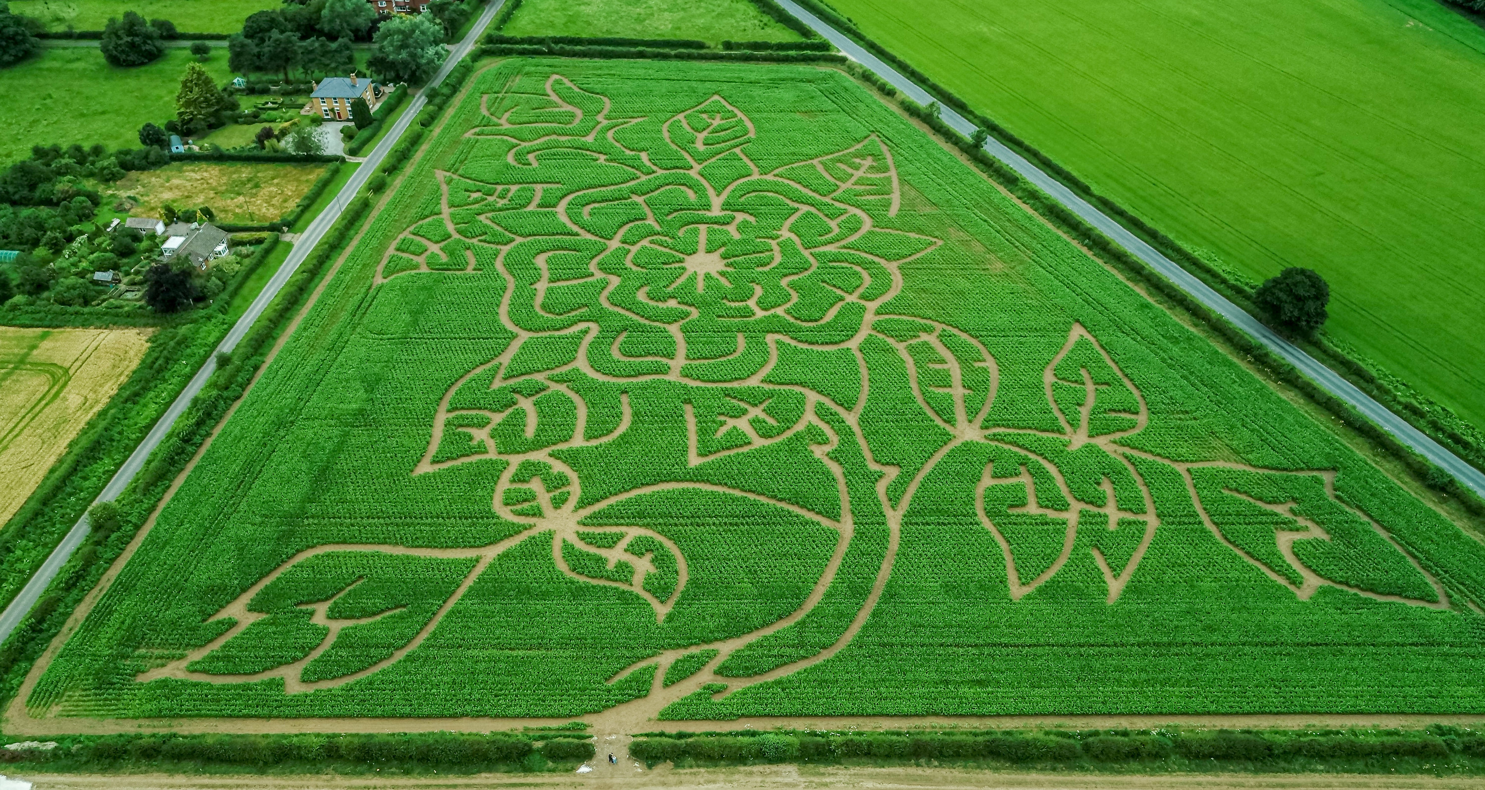 CAG_Great_Yorkshire_Maze_Sherburn-007